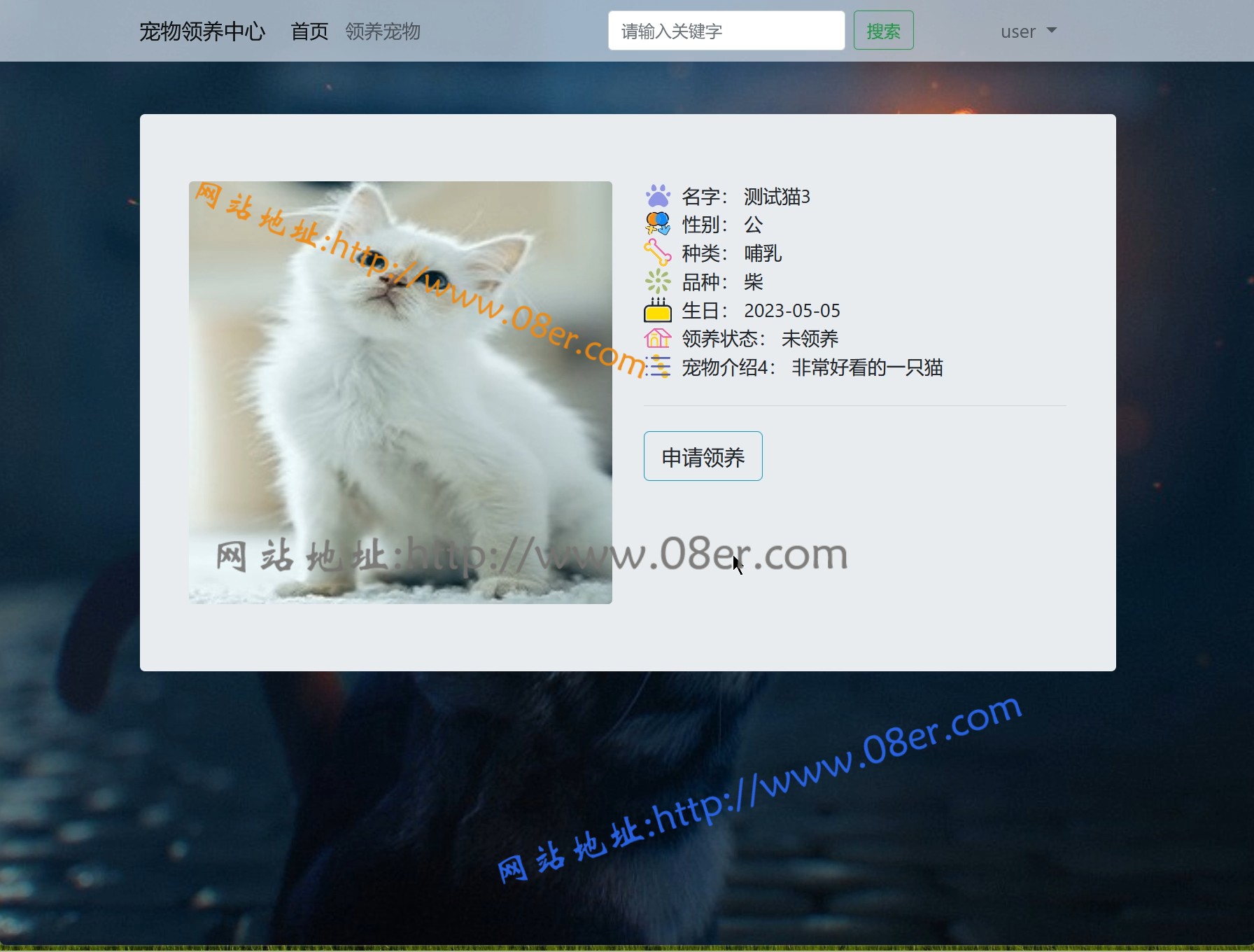 springboot流浪宠物领养网站管理系统java猫狗动物收容寄养源码mysql~sb10202